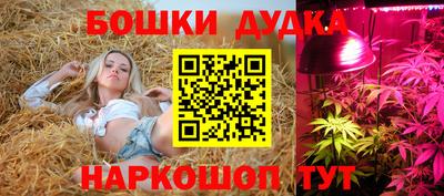 мяу мяу мука Апшеронск