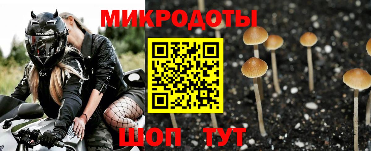 Псилоцибиновые грибы мицелий Выкса